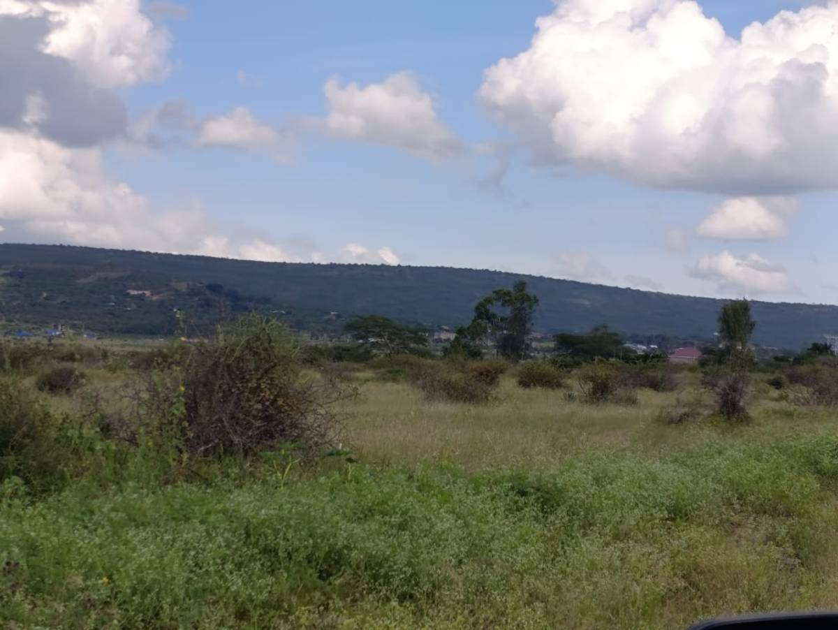 Vacant plot for sale Price: KSh 10 Million per Acre Total Price: KSh 200 Million (20 Acres]
